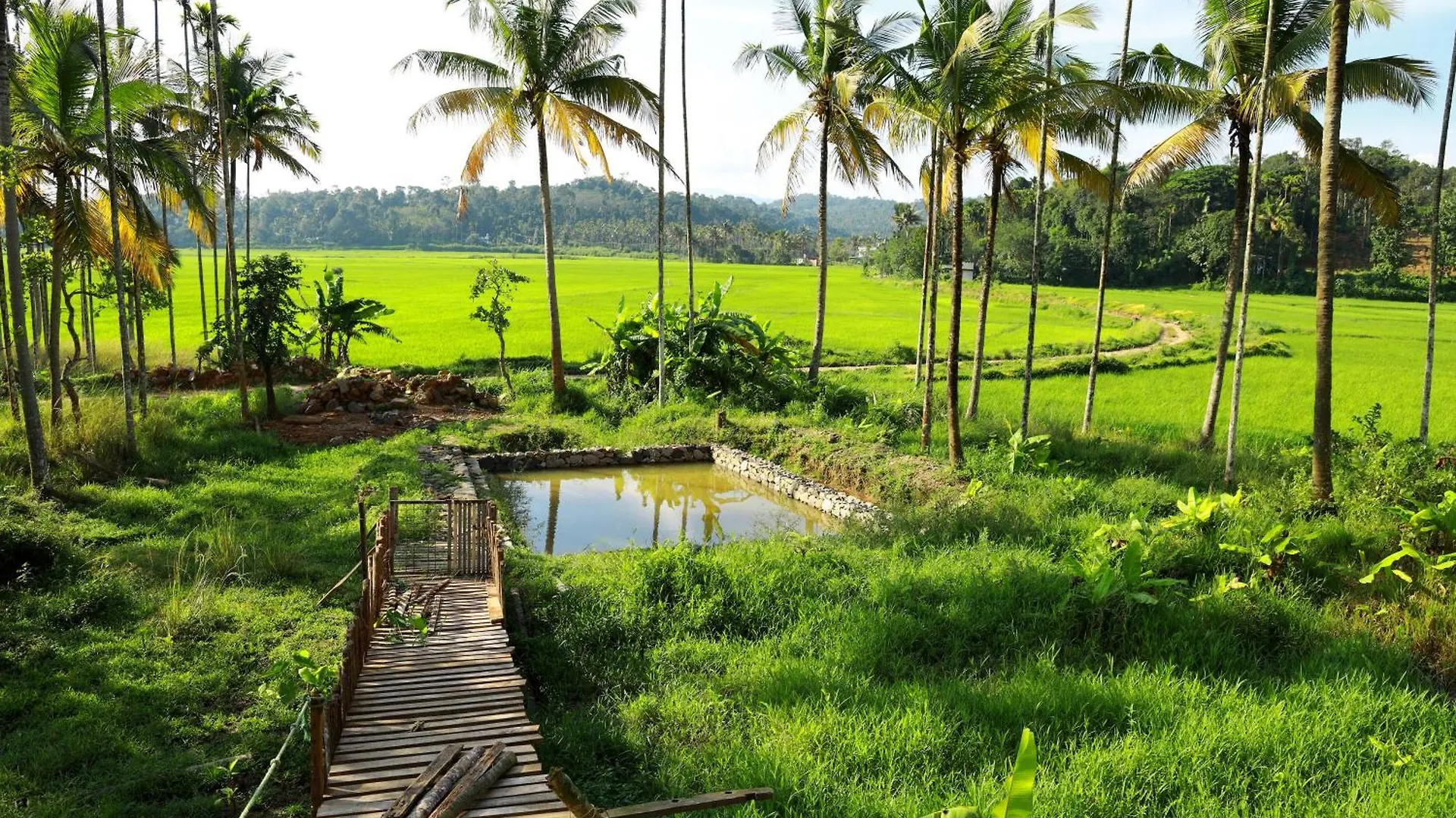 Paddy View Homestay Mananthavady Holiday home