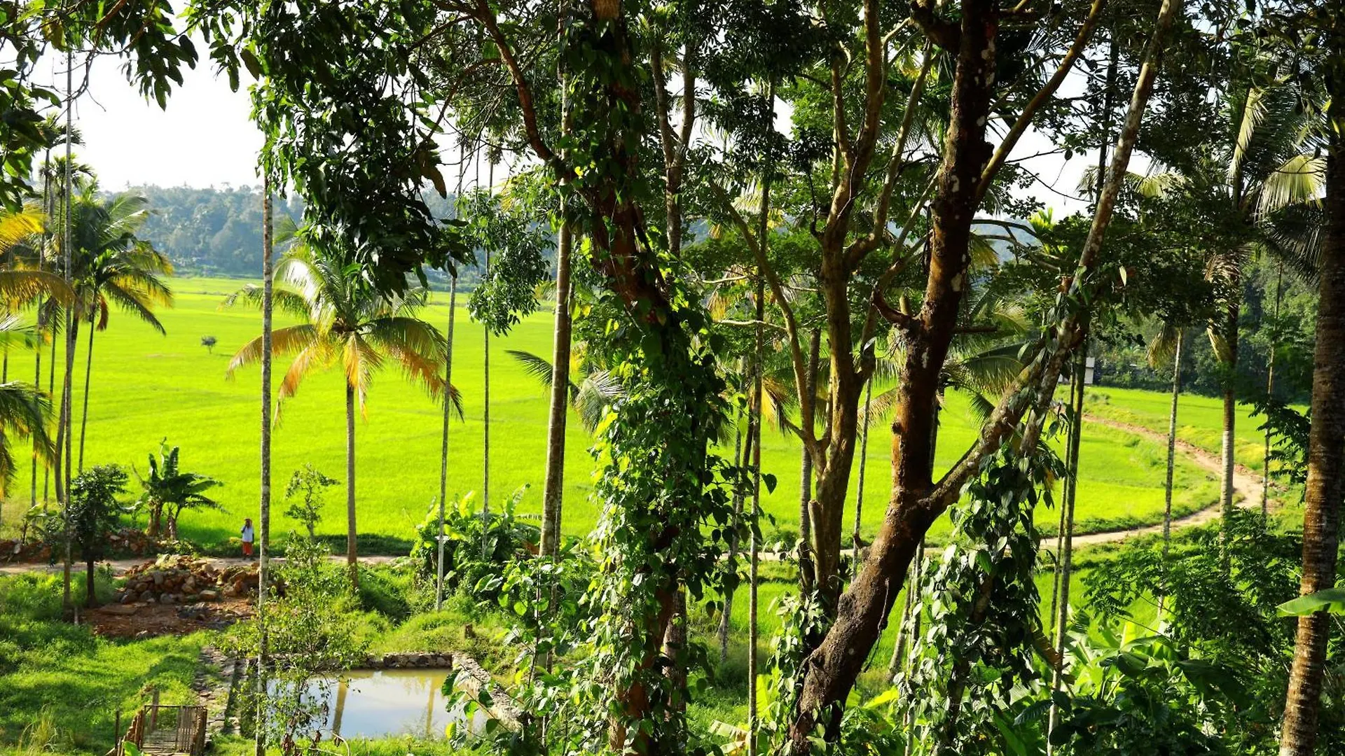 Holiday home Paddy View Homestay Mananthavady India