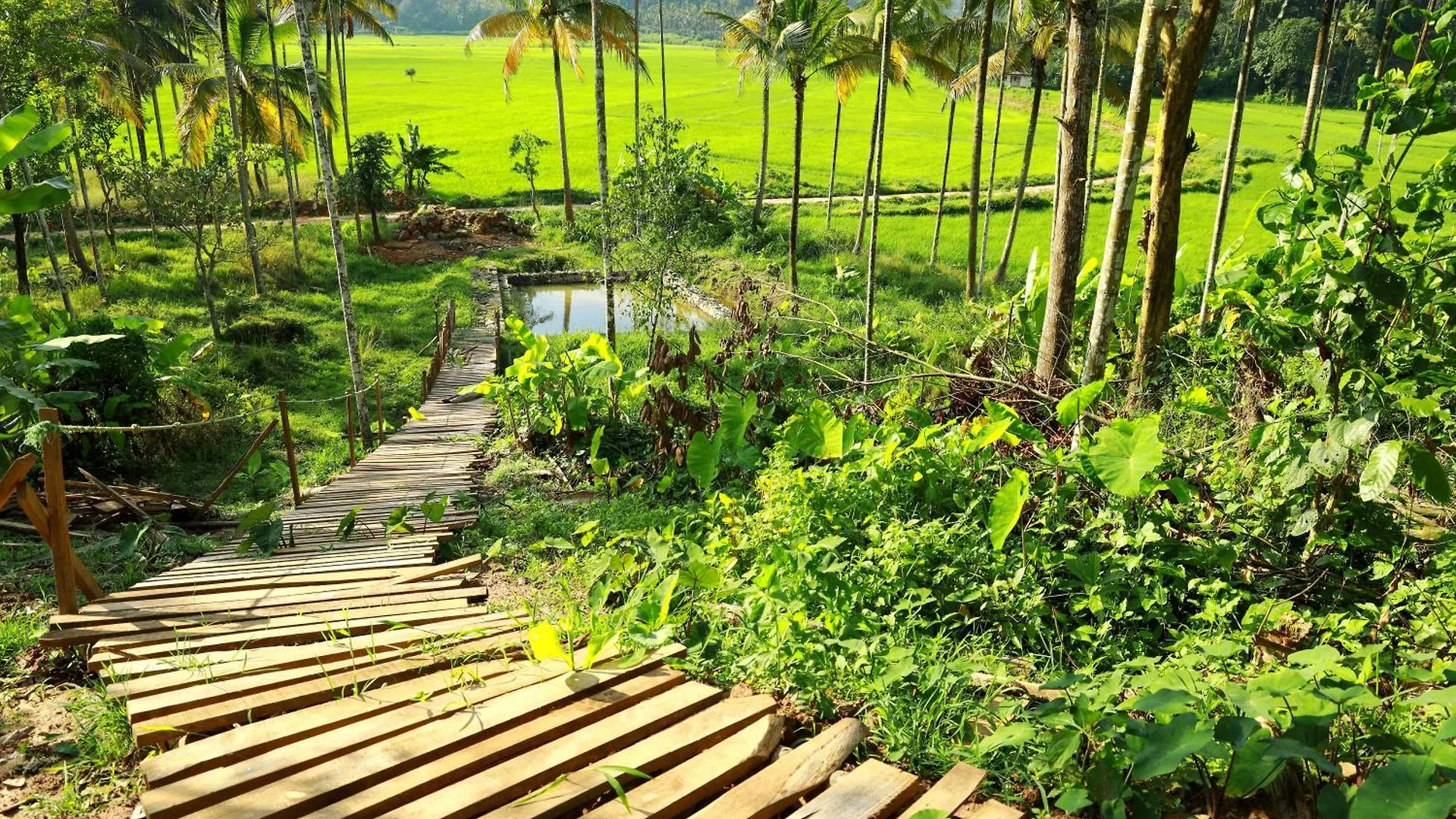 Holiday home Paddy View Homestay Mananthavady